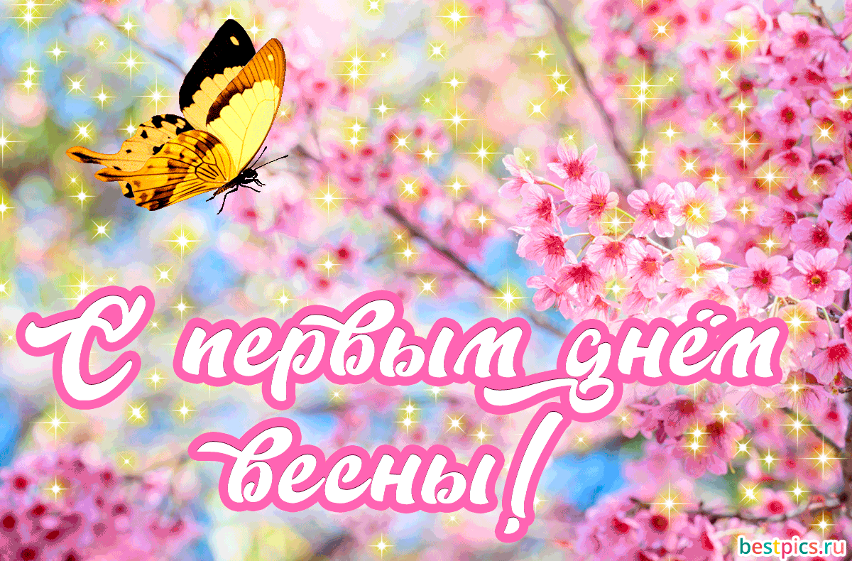 Гифка Bestpics